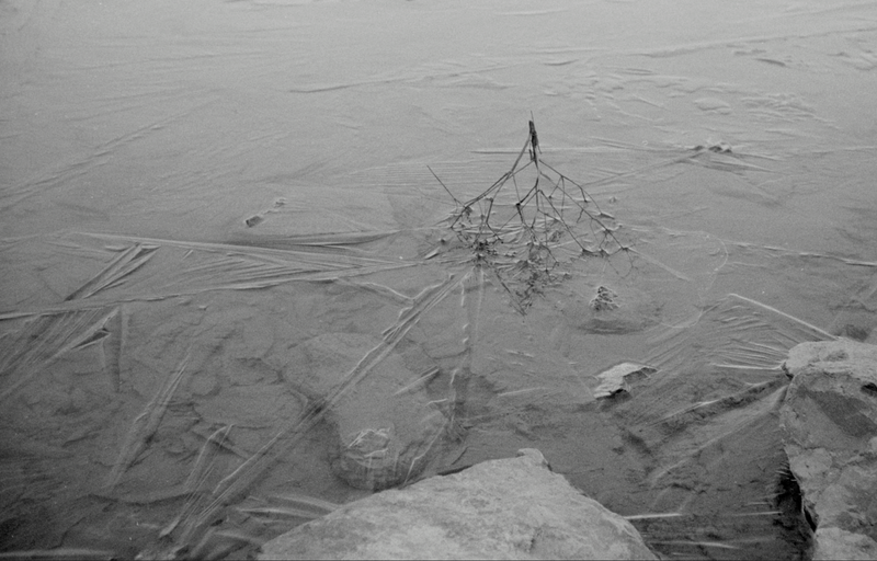 © Florence Cuschieri - Image from the La ronde des hirondelles photography project