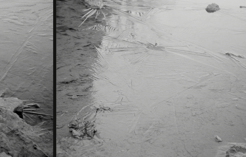 © Florence Cuschieri - Image from the La ronde des hirondelles photography project