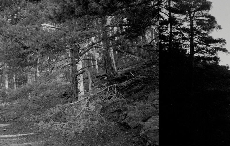 © Florence Cuschieri - Image from the La ronde des hirondelles photography project