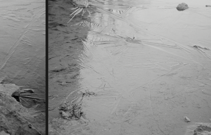© Florence Cuschieri - Image from the La Ronde des hirondelles (Swallow's round) photography project