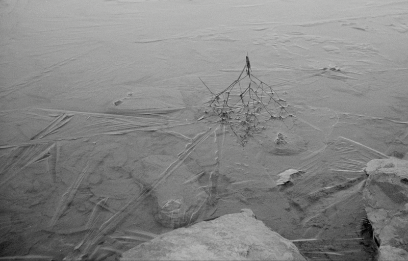 © Florence Cuschieri - Image from the La Ronde des hirondelles (Swallow's round) photography project