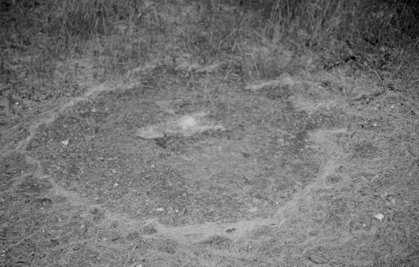 © Florence Cuschieri - Image from the La Ronde des hirondelles (Swallow's round) photography project
