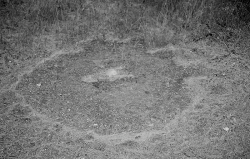 © Florence Cuschieri - Image from the La Ronde des hirondelles (Swallow's round) photography project