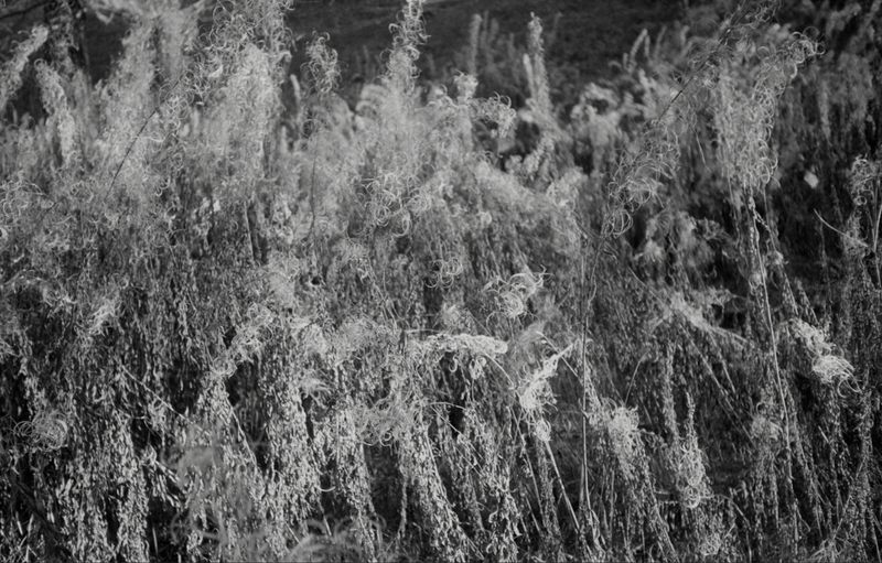 © Florence Cuschieri - Image from the La Ronde des hirondelles (Swallow's round) photography project