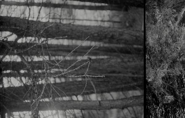 © Florence Cuschieri - Image from the La Ronde des hirondelles (Swallow's round) photography project