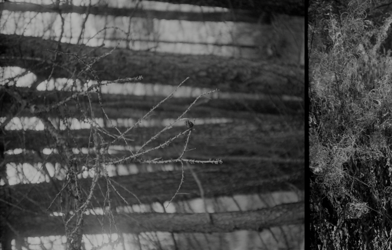 © Florence Cuschieri - Image from the La Ronde des hirondelles (Swallow's round) photography project