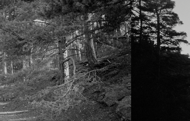 © Florence Cuschieri - Image from the La Ronde des hirondelles (Swallow's round) photography project