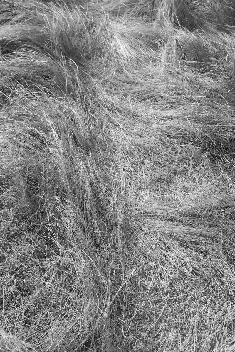 © Francesca Serotti - Image from the Remembrance photography project