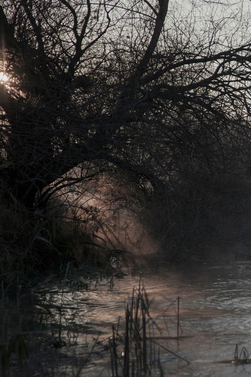 © Camilla de Maffei - Image from the DELTA photography project