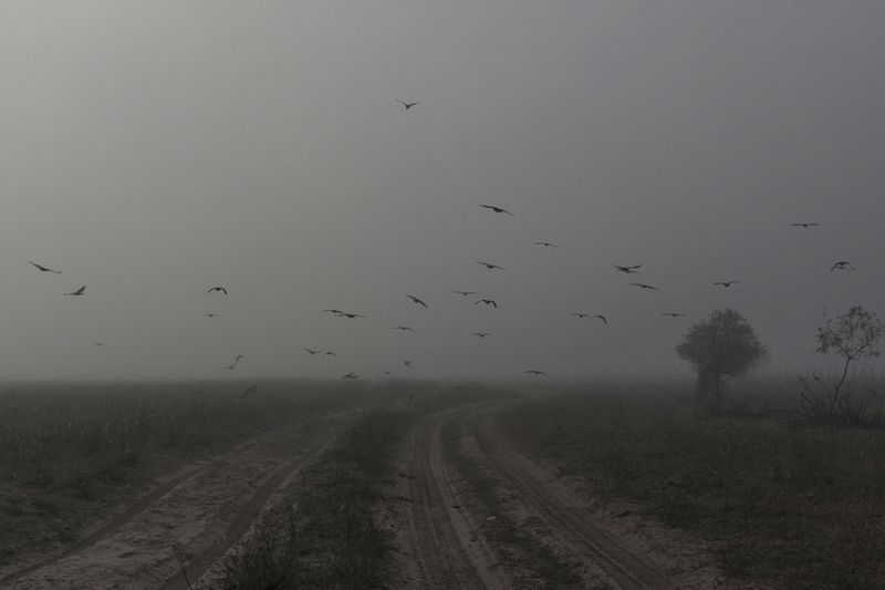 © Camilla de Maffei - Image from the DELTA photography project