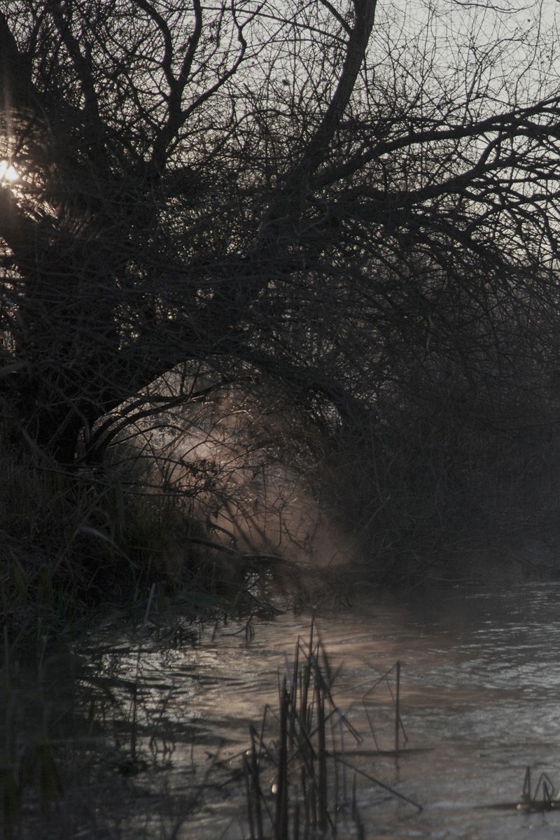 © Camilla de Maffei - Image from the DELTA photography project