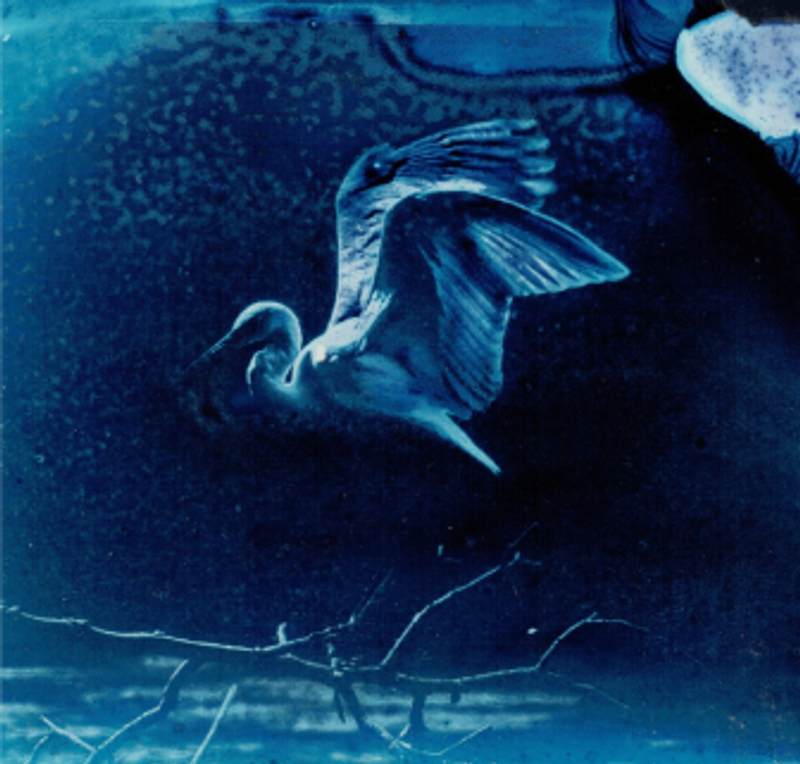 © Experimental Photo Festival - Image from the Ágora, School of Experimentation photography project