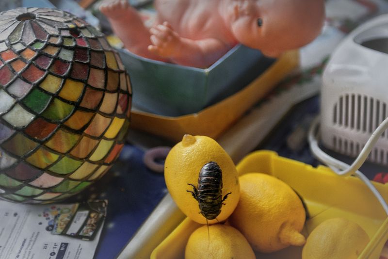 © Paolo Marchetti - Image from the Inner Whisper - The record of deaths from overdoses in Europe photography project