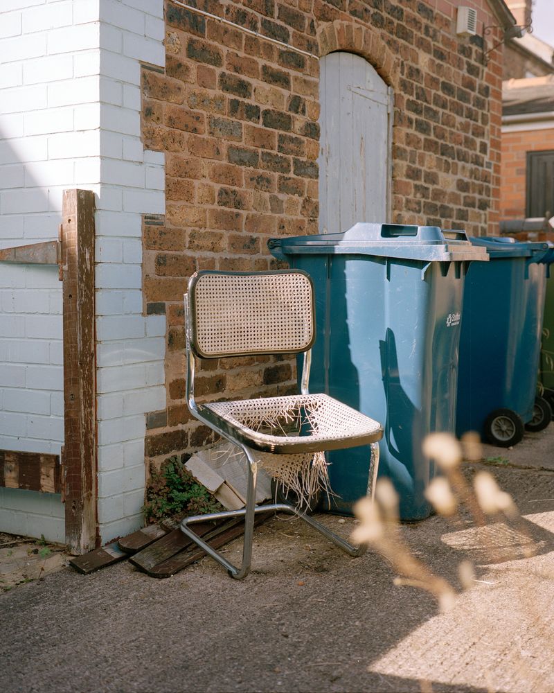 © Laura Foster - Image from the In Order To Bloom photography project