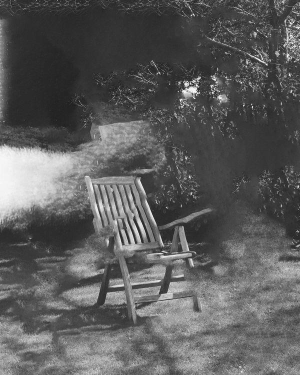 © Laura Foster - Image from the In Order To Bloom photography project