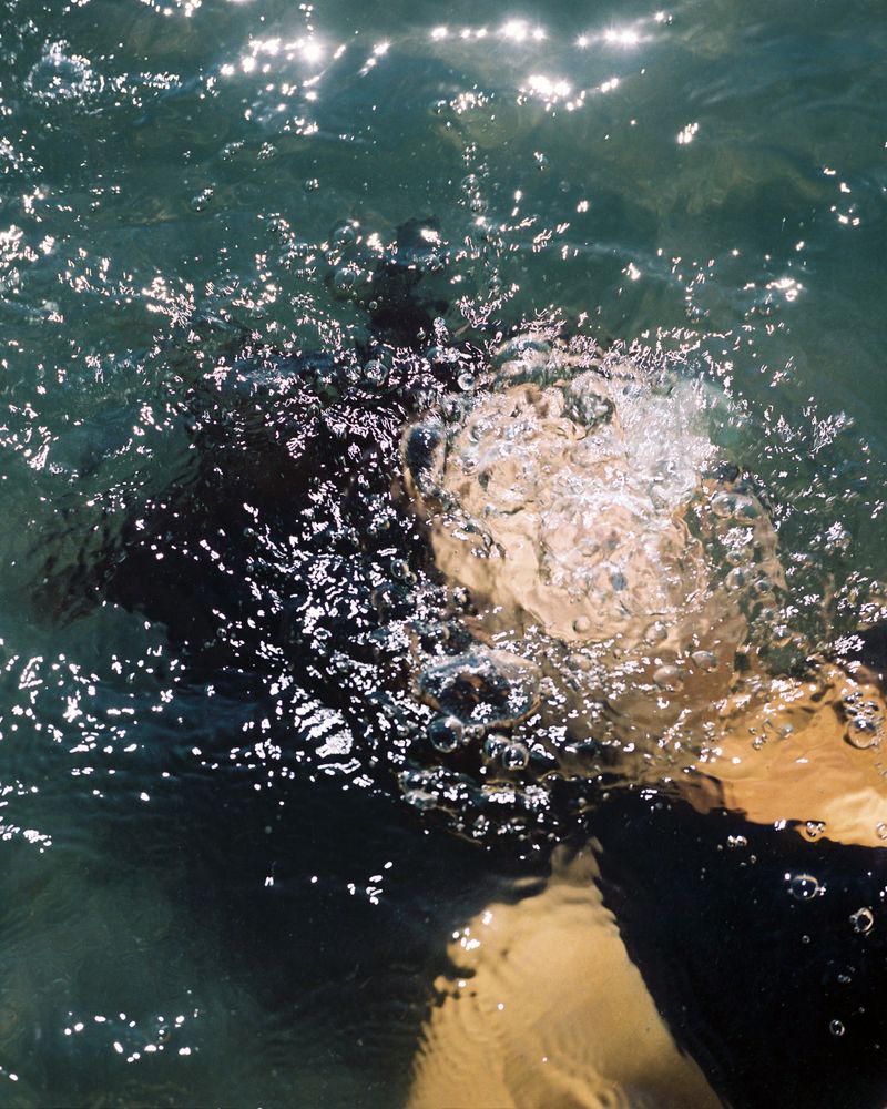 © Laura Foster - Image from the In Order To Bloom photography project