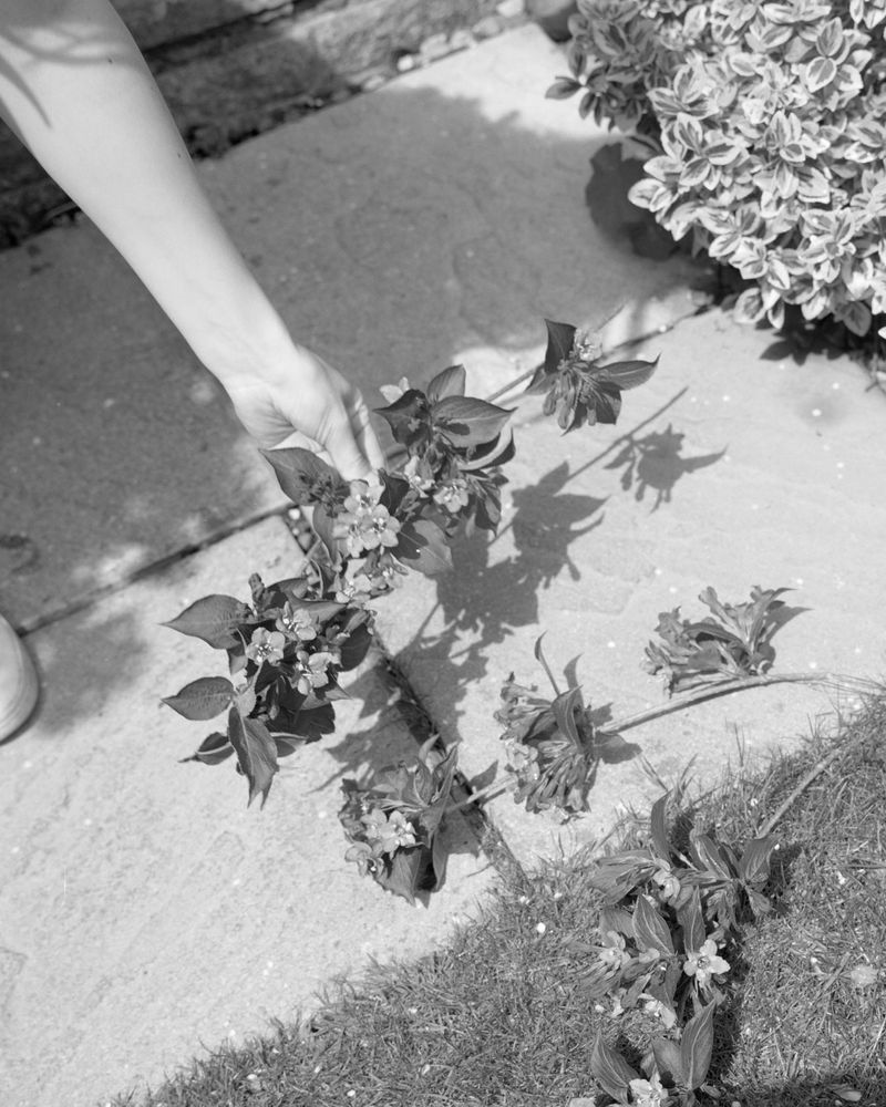 © Laura Foster - Image from the In Order To Bloom photography project