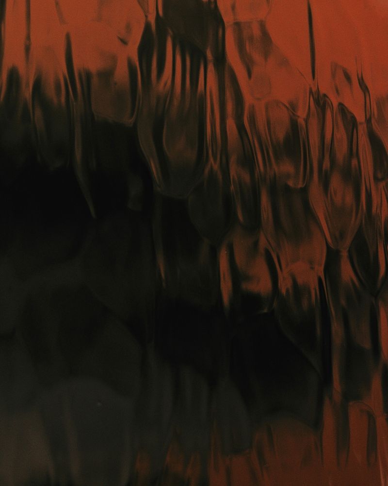 © Laura Foster - Image from the In Order To Bloom photography project