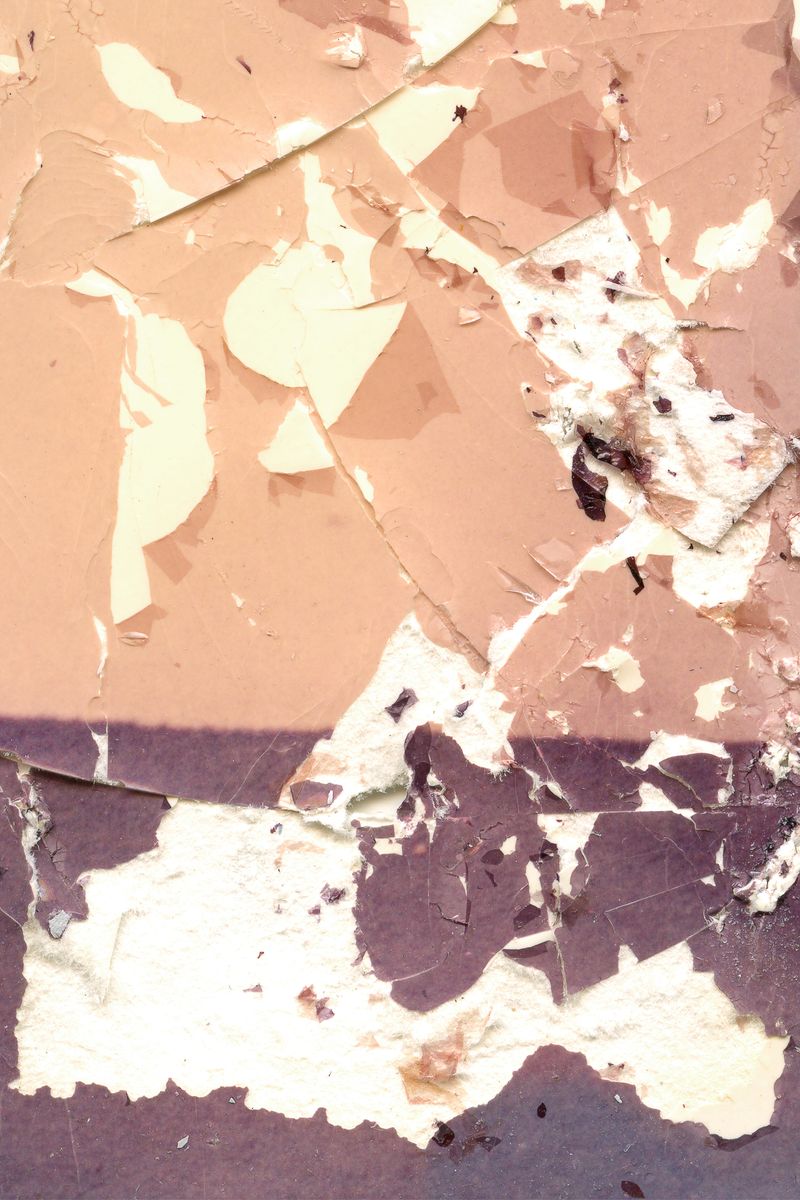 © Raisan Hameed - Zer - störung_C-prints_kodak_06