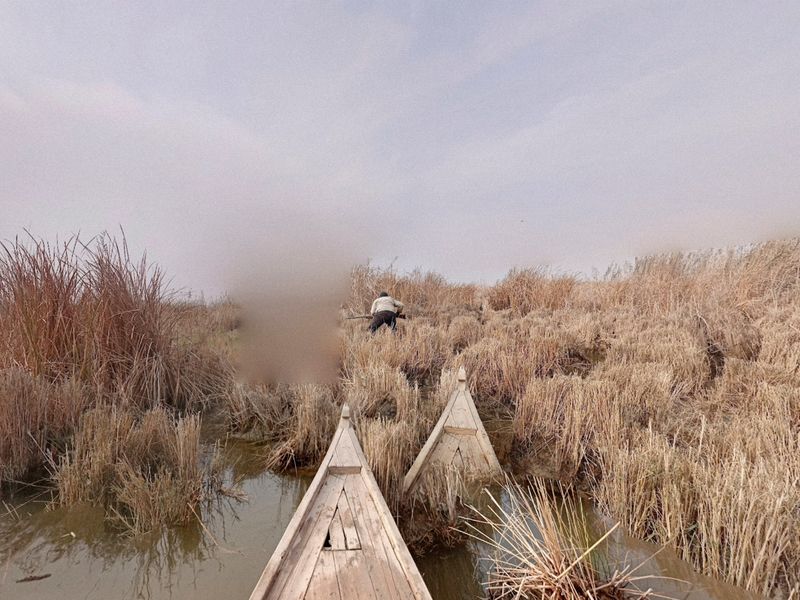 © Raisan Hameed - The Marshes, South of Iraq