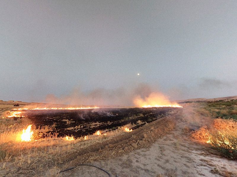© Raisan Hameed - Landscape near Mosul