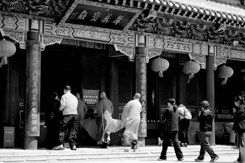 © DAVID ZHAO - VIP disciple