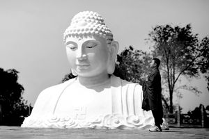 To burn incense and worship Buddha(烧香拜佛）