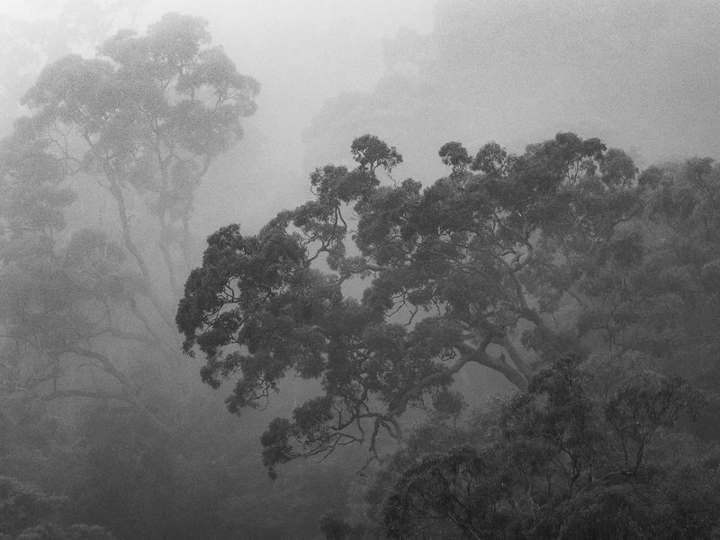 © Genevieve Ginty - 9. Breathe (2021)
