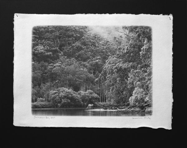 © Genevieve Ginty - 3. Jerusalem Bay (2022)