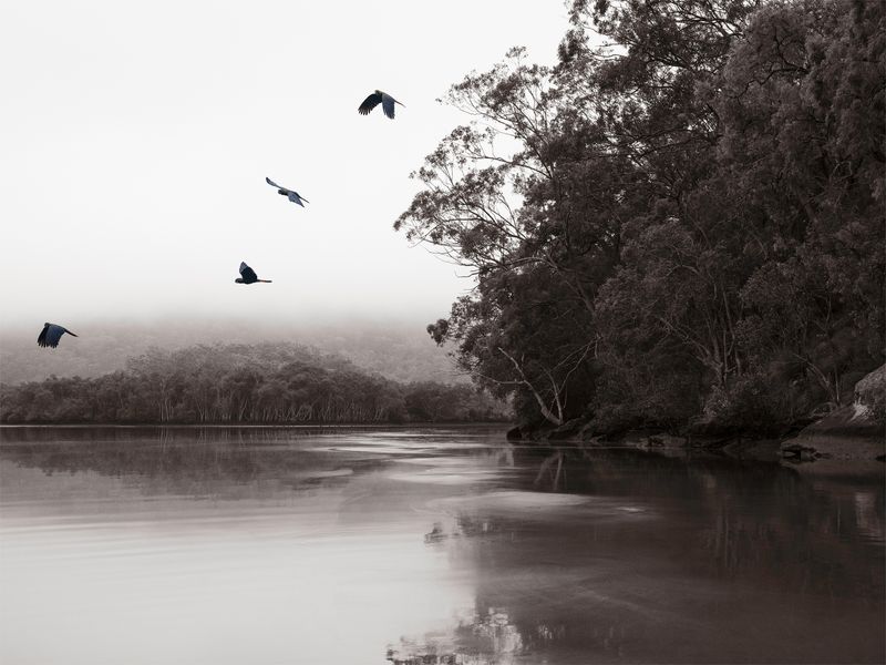 © Genevieve Ginty - 17. Tomorrow (2025)