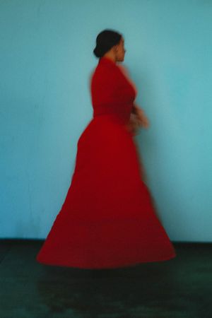 Portrait of a Dancer