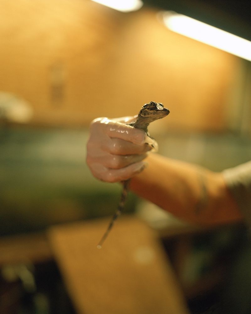 © Sam Muller - Image from the Lâche Pas La Patate photography project