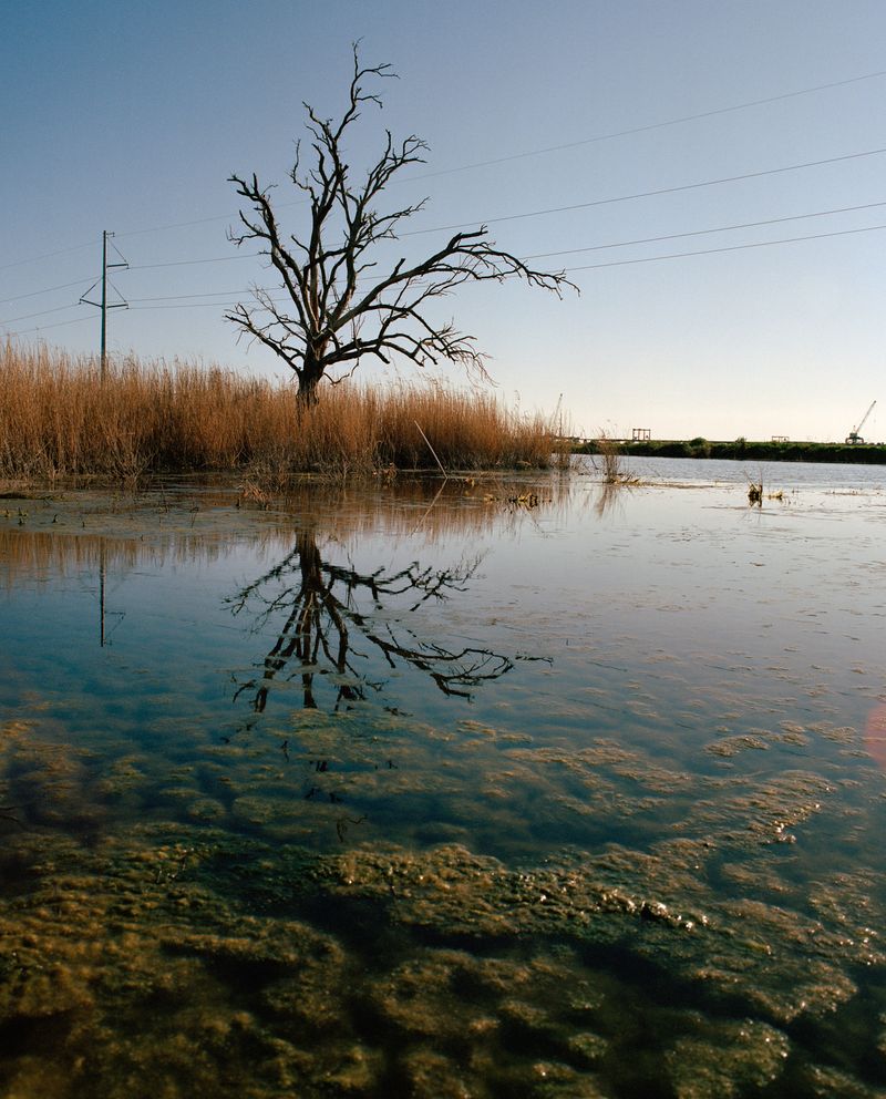 © Sam Muller - Image from the Lâche Pas La Patate photography project