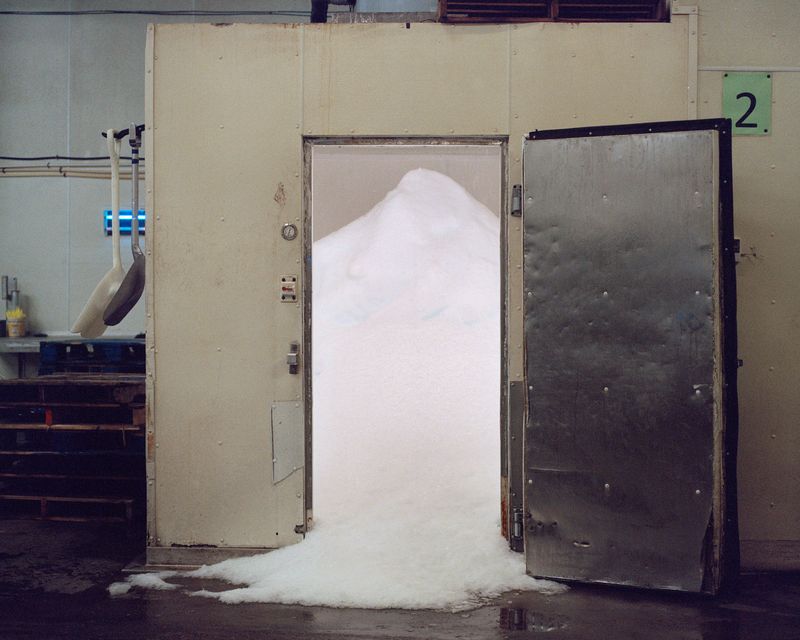 © Sam Muller - Image from the Lâche Pas La Patate photography project