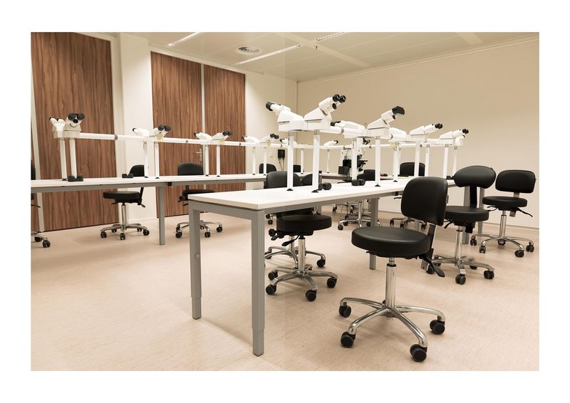 © Petra Kroon - Research Room, Dutch Cancer Institute