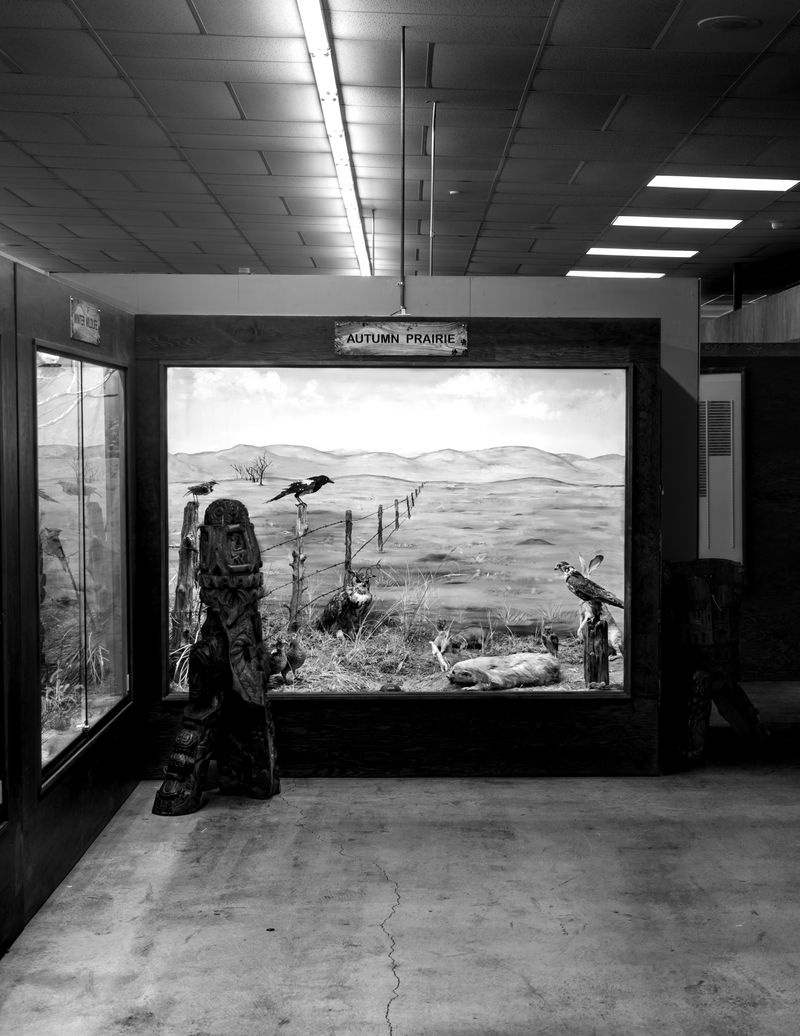 © Austin Cullen - An autumn prairie