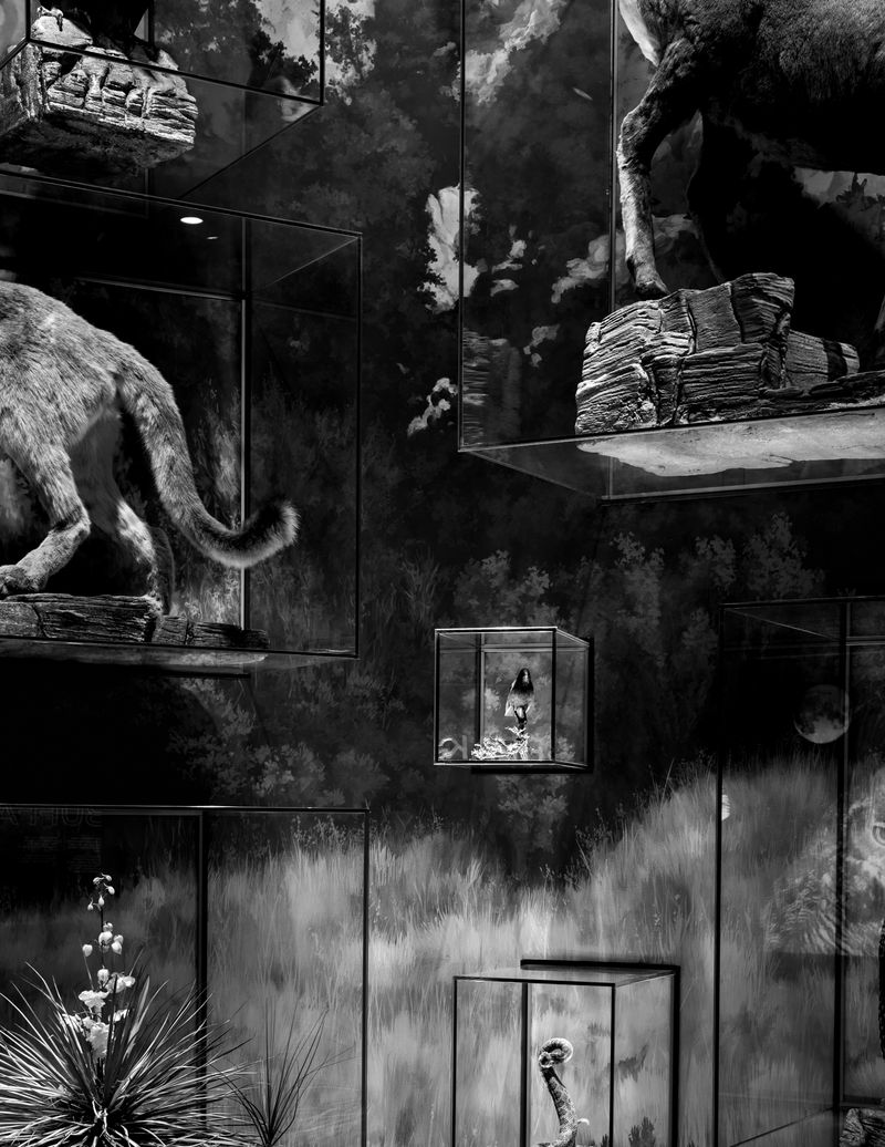 © Austin Cullen - Floating biomes