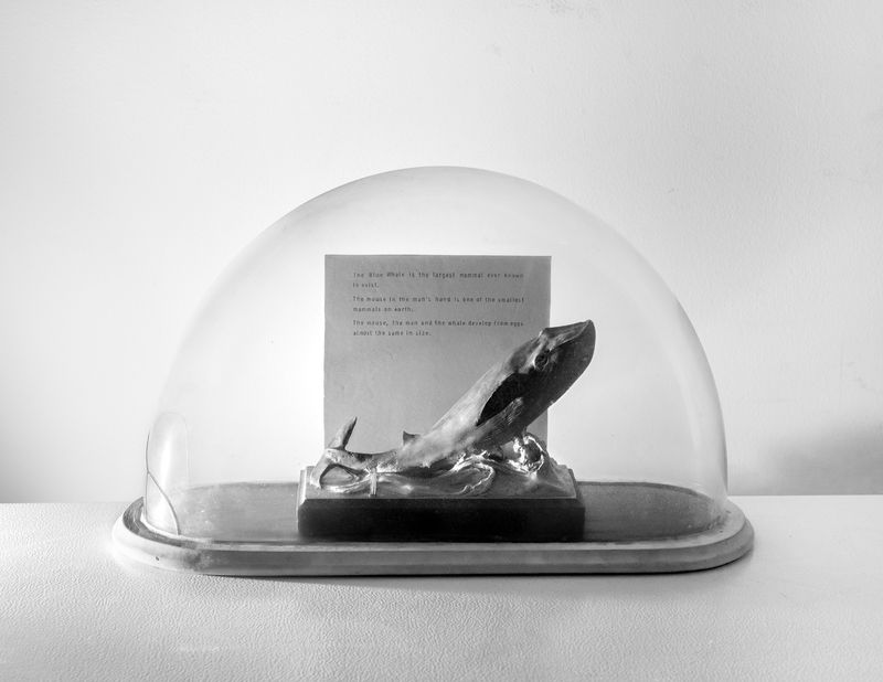 © Austin Cullen - The Mouse, the man, and the whale