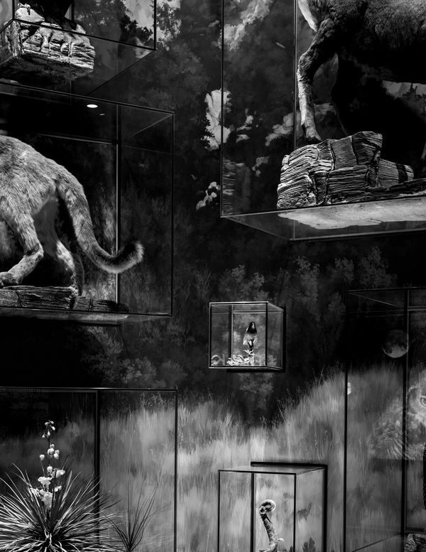 © Austin Cullen - Floating biomes