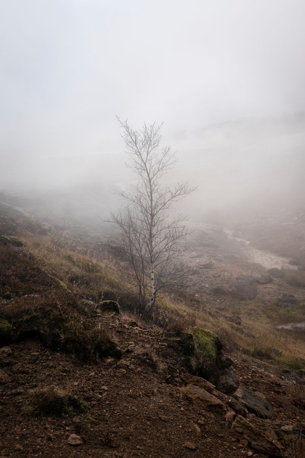 © Ivan Tomasevic - Image from the Hidden People photography project