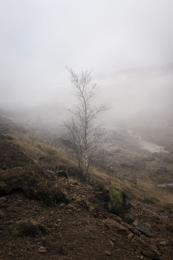 © Ivan Tomasevic - Image from the Hidden People photography project