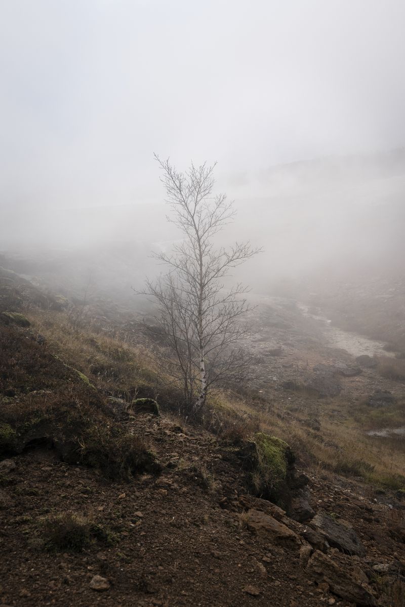 © Ivan Tomasevic - Image from the Hidden People photography project