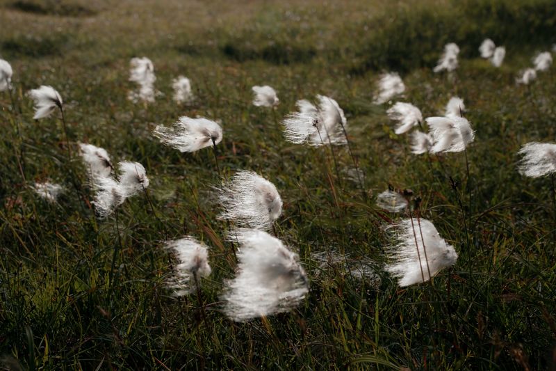 © Ivan Tomasevic - Image from the Hidden People photography project