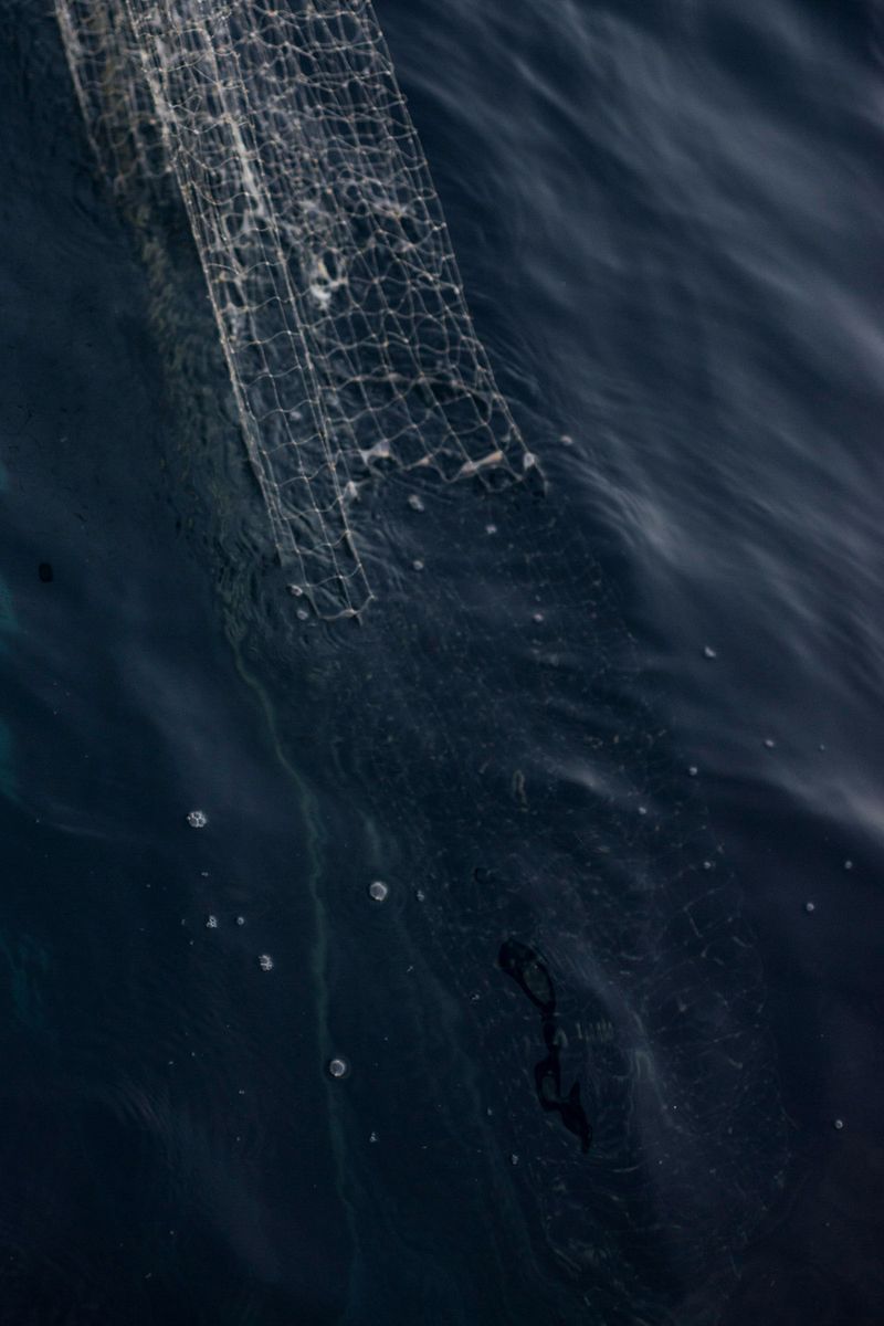 © Julie Bourges - The fisherman's net