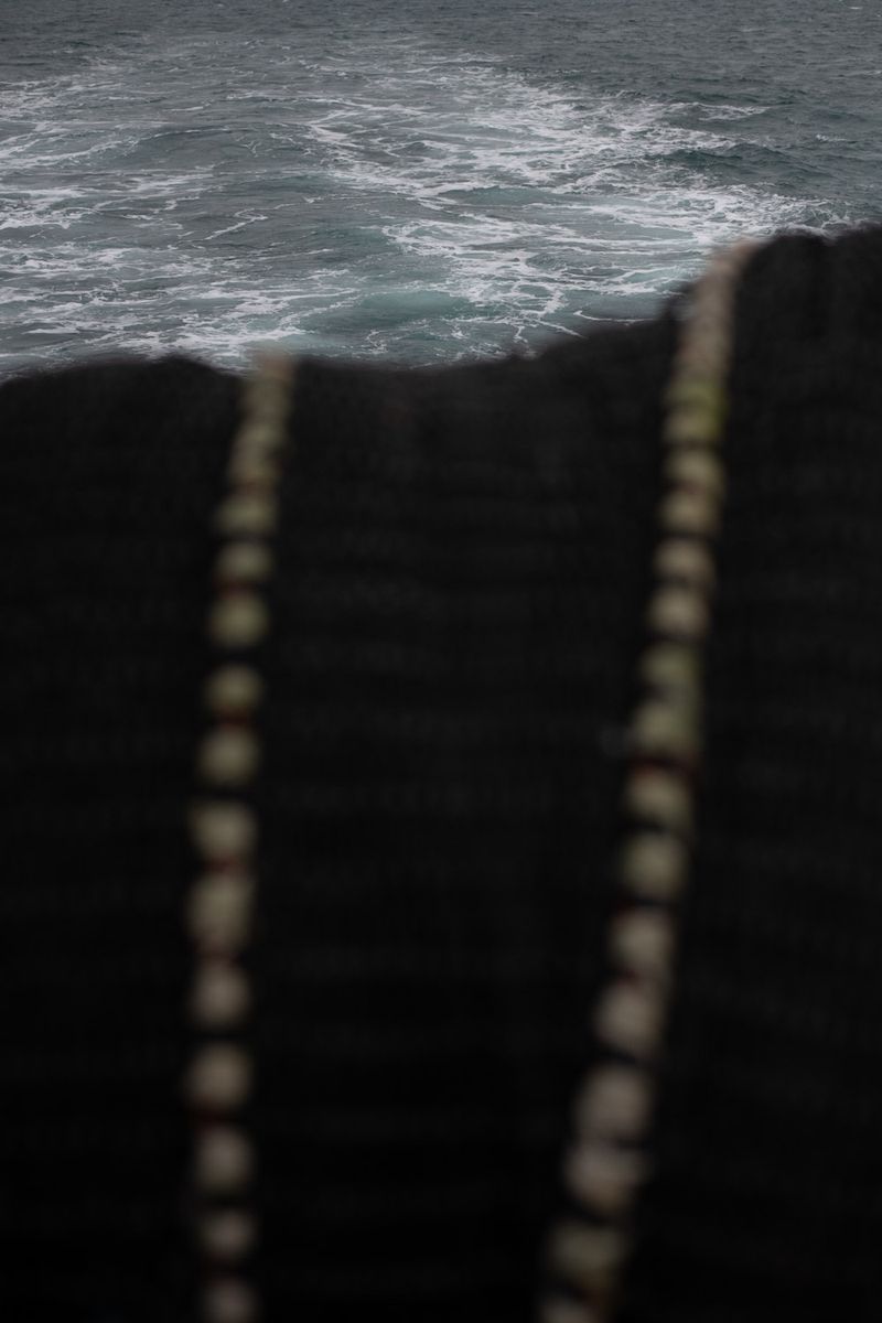 © Julie Bourges - The net