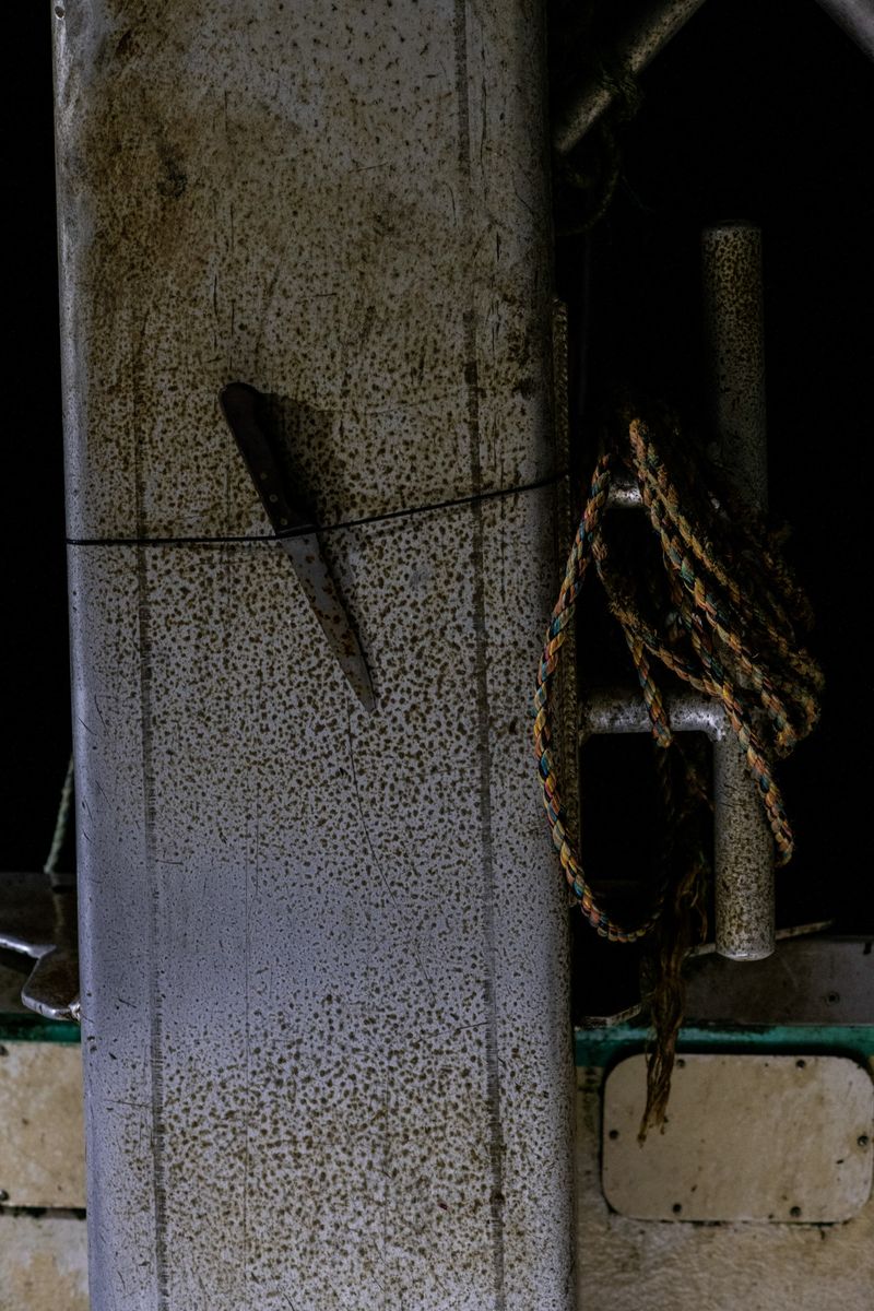 © Julie Bourges - The knife