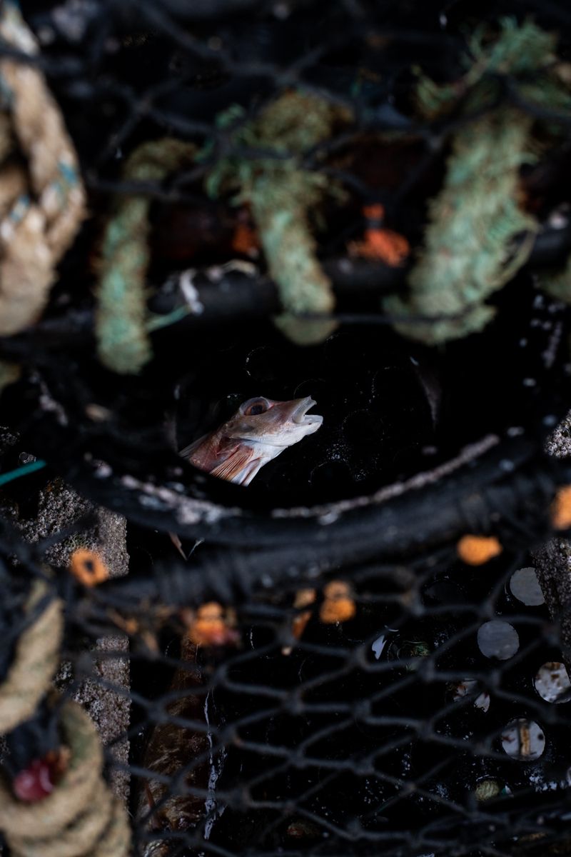 © Julie Bourges - Image from the Les eaux-fortes photography project