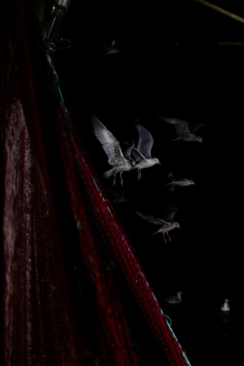 © Julie Bourges - Image from the Les eaux-fortes photography project