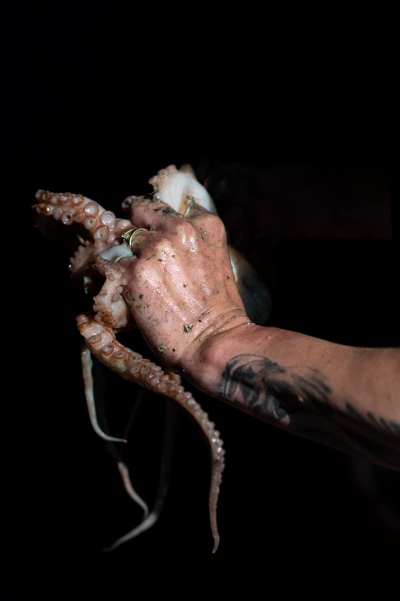 © Julie Bourges - The hand and the octopus