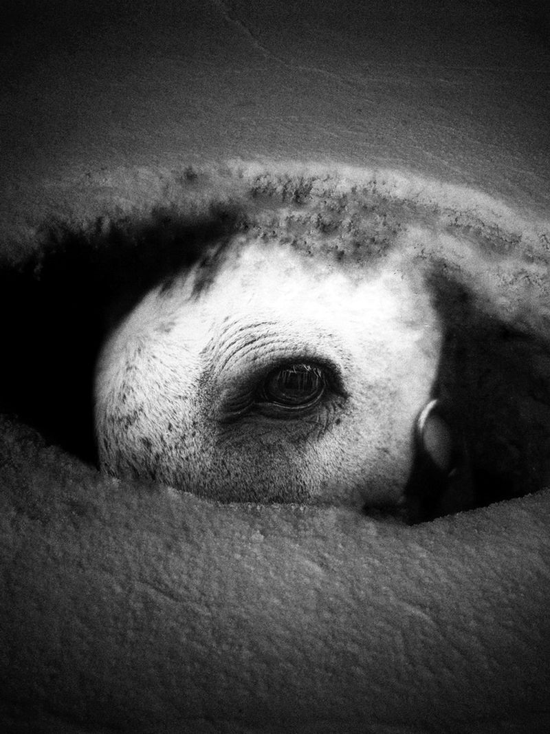 © Makis Makris - Image from the Vanessa photography project